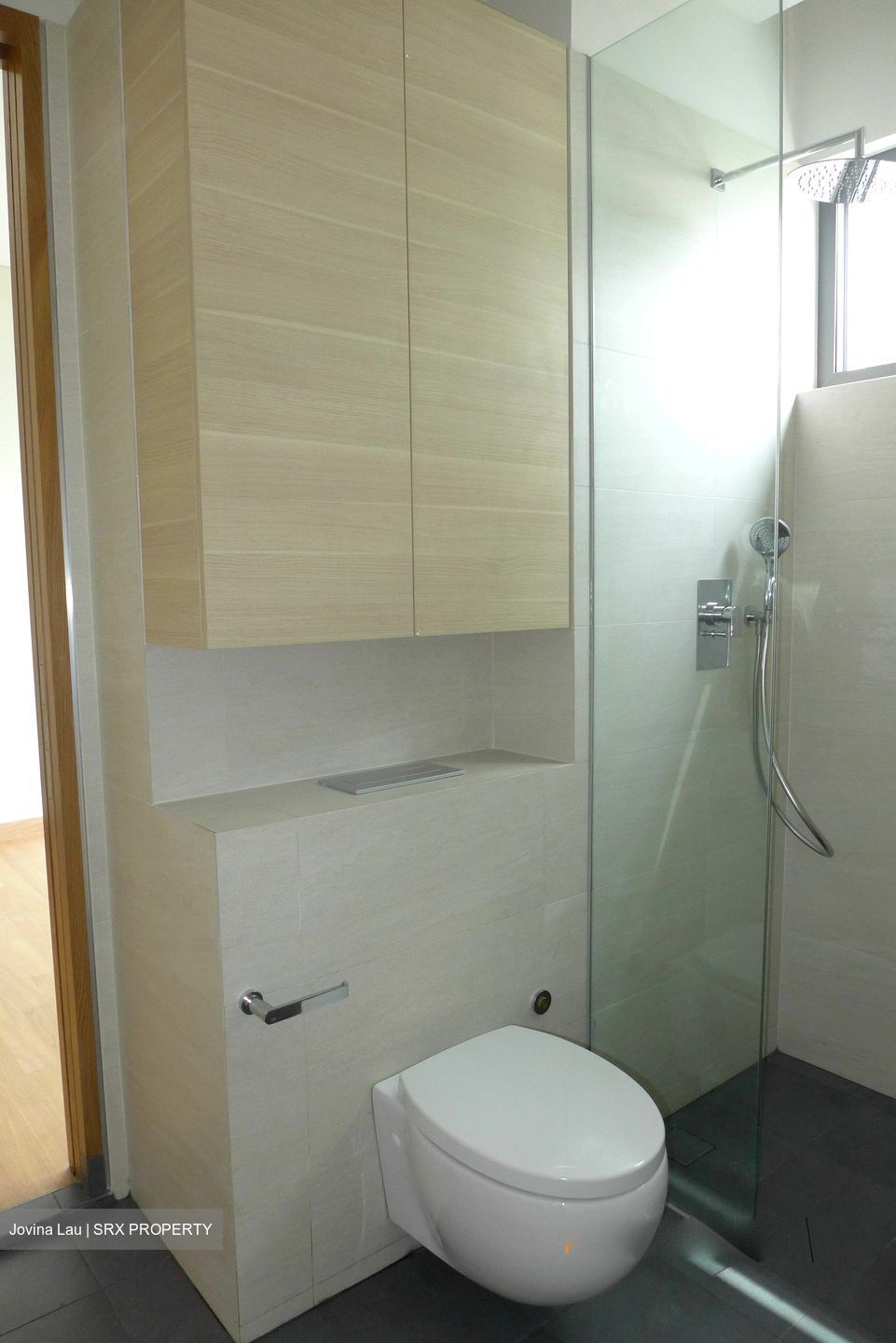 Balmoral Road (D10), Condominium #485635231